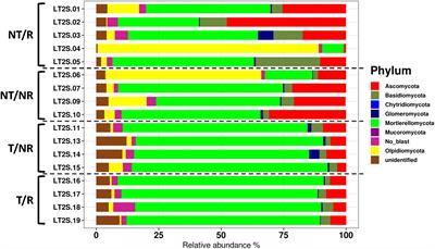 How Tillage and Crop Rotation Change the Distribution Pattern of Fungi